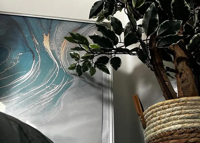 Goodbye Moon Apartment